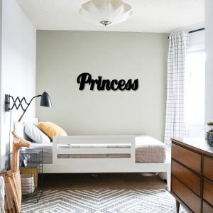 שלט Princess